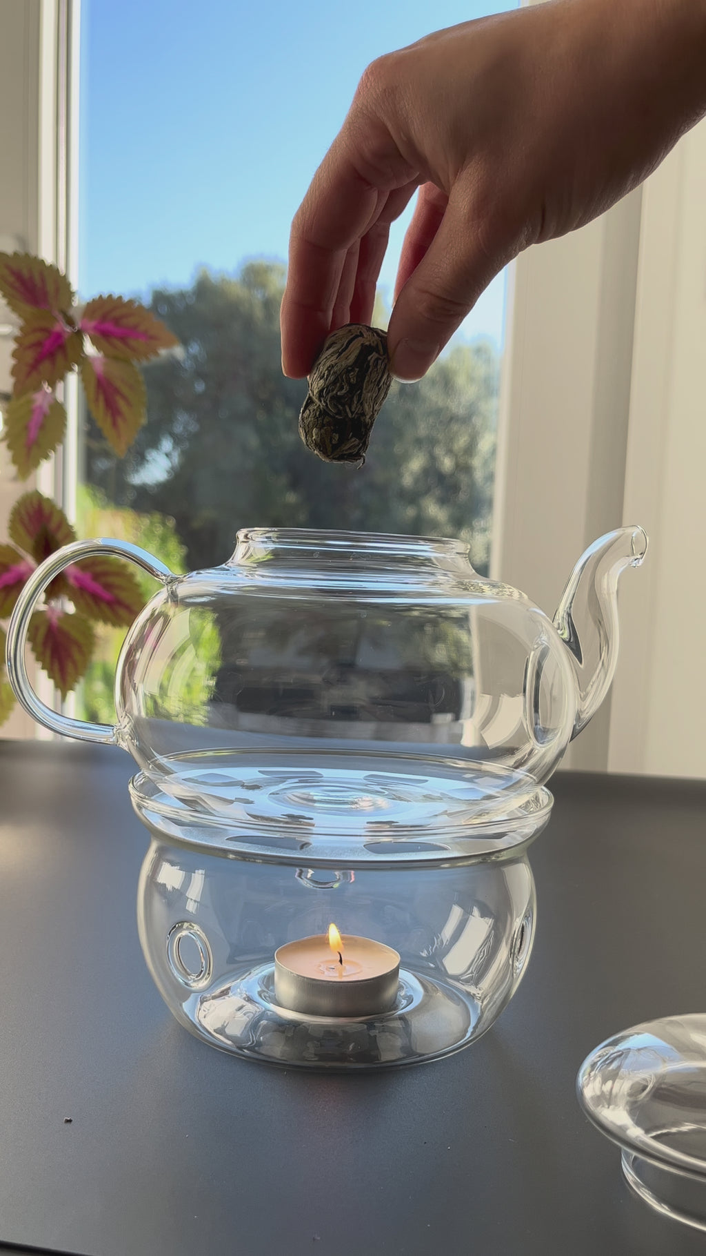 Coffret 10 fleurs de thé mixtes - idée cadeau